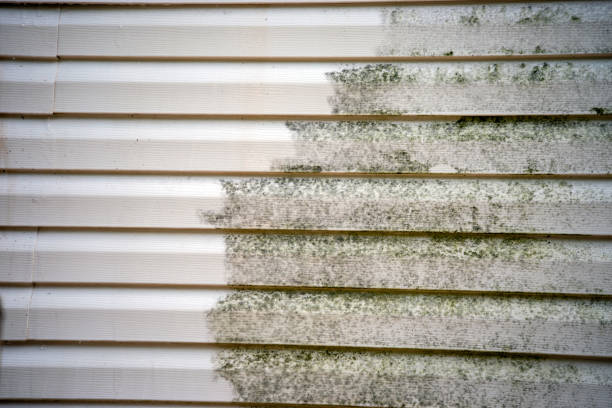 Siding for Commercial Buildings in Sahuarita, AZ