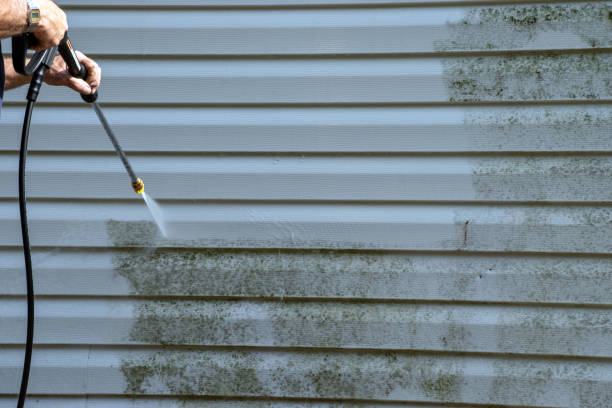 Best Siding for New Construction  in Sahuarita, AZ