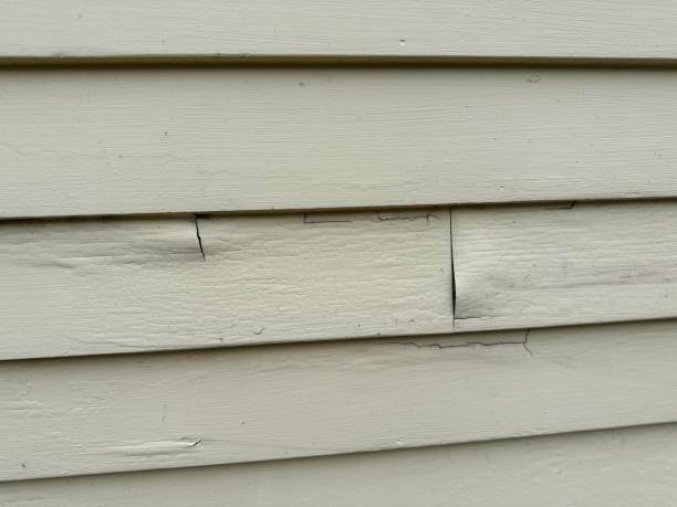 Best Siding Painting and Refinishing  in Sahuarita, AZ